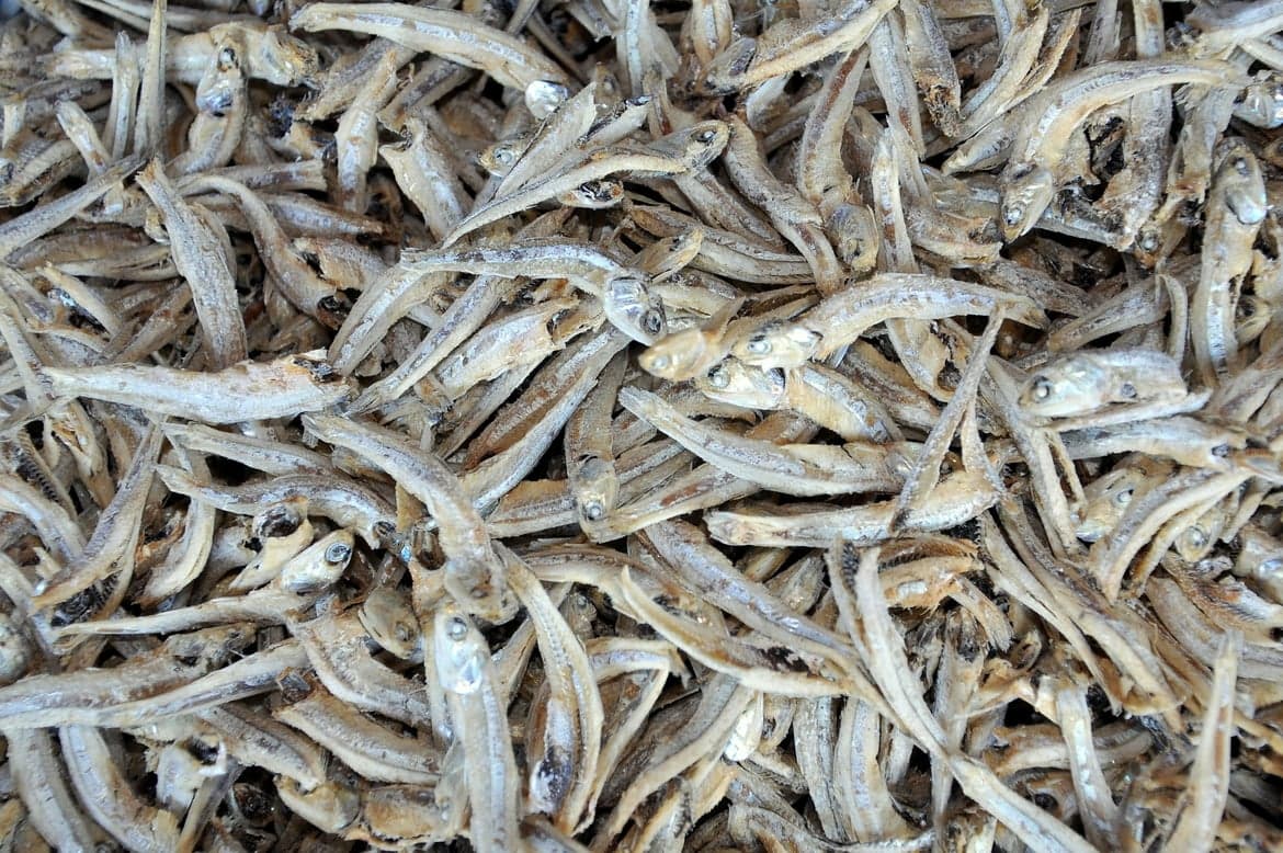 HIGH_QUALITY DRIED ANCHOVY_ WELL_KNOWN IN CENTRAL VIETNAM